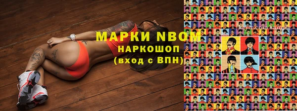 молекула духа Анива