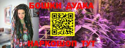 МДПВ Дубна