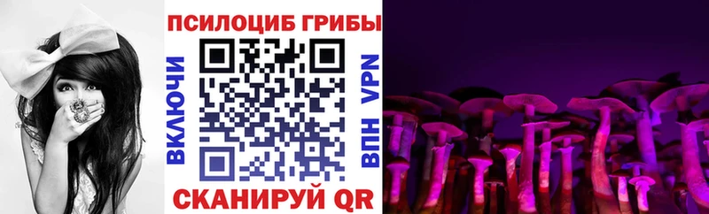 Псилоцибиновые грибы Magic Shrooms  купить наркотик  Орск 