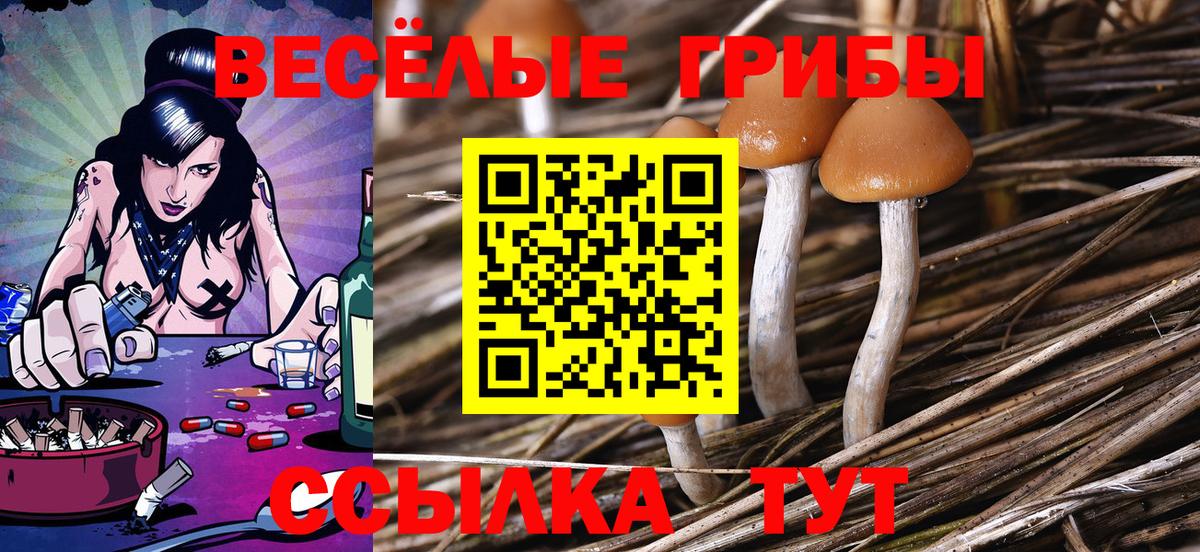 Орск  Псилоцибиновые грибы Psilocybine cubensis  Вход с VPN  наркота  Галлюциногенные грибы MAGIC MUSHROOMS 